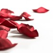 iStock_000003638109XSmall