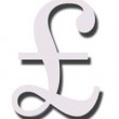 pound sign pound sign